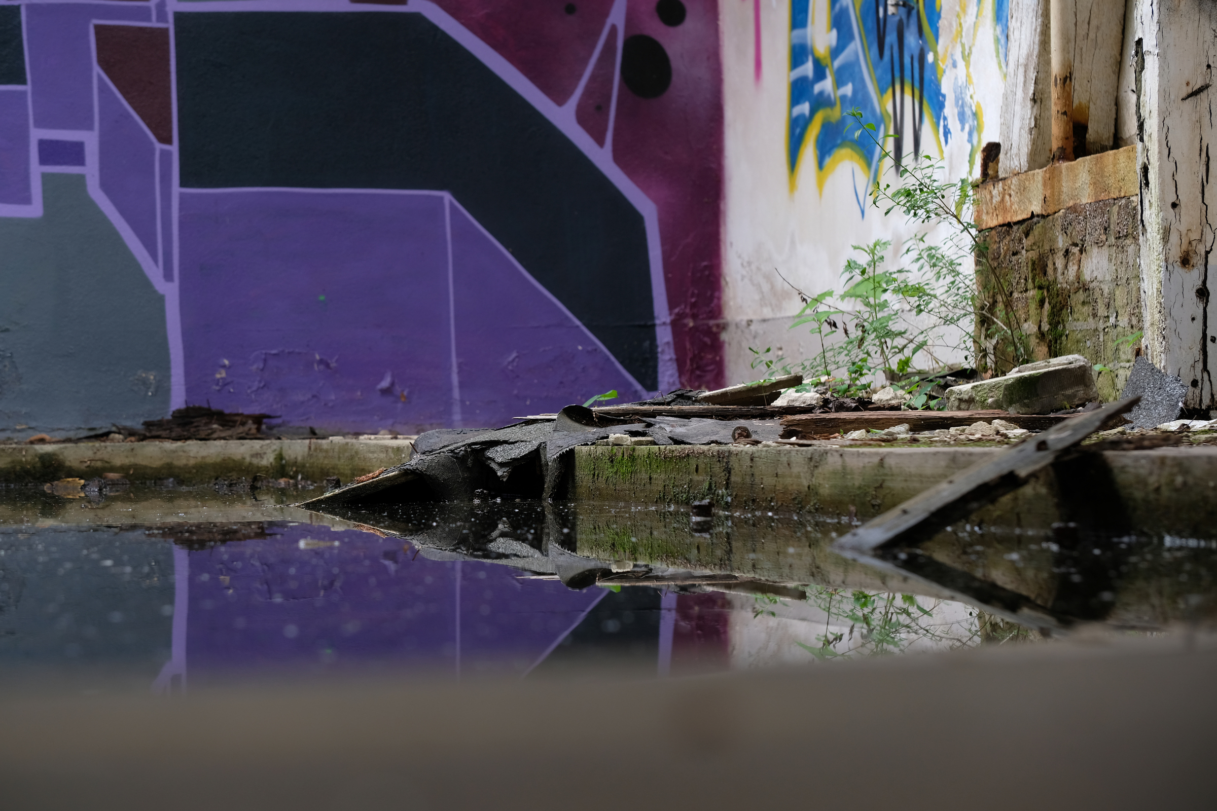 VEB Kühlautomat Berlin - Reflections