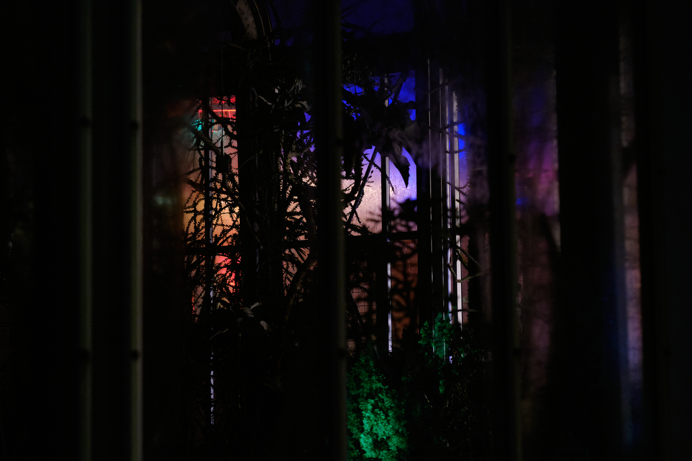 Rainbow-Green House