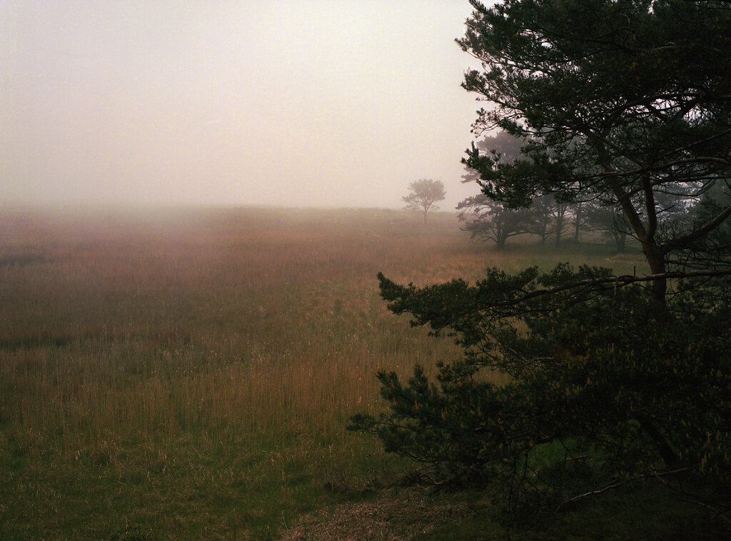 Nebel an der Ostsee