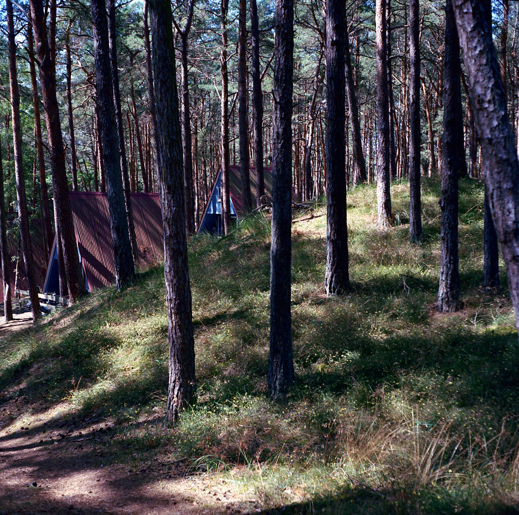 Hütten im Wald