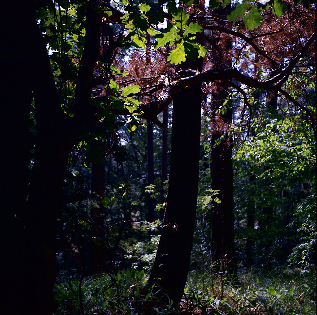 Farben und Schatten