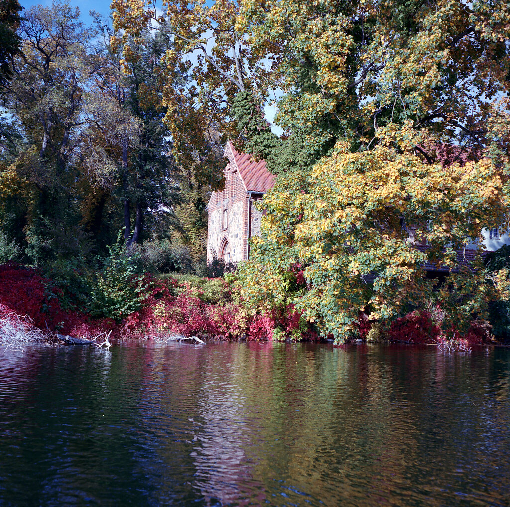 Herbstfarben am Ufer