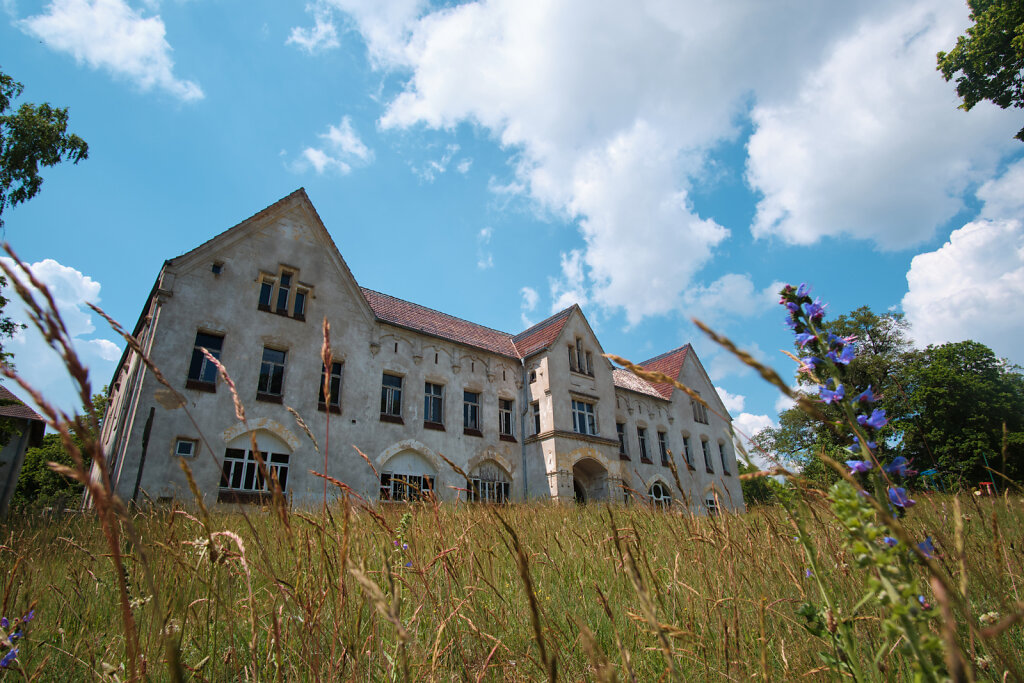 Landesirrenanstalt Domjüch AK