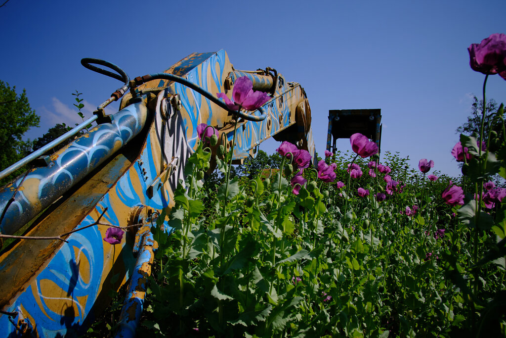 Metal & Flowers I