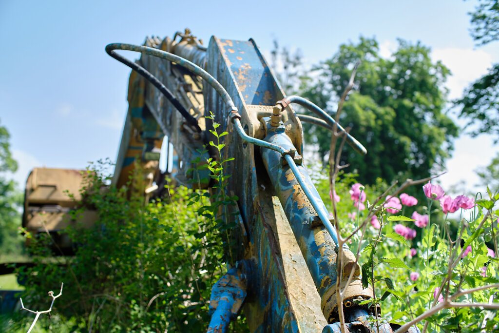 Metal & Flowers III